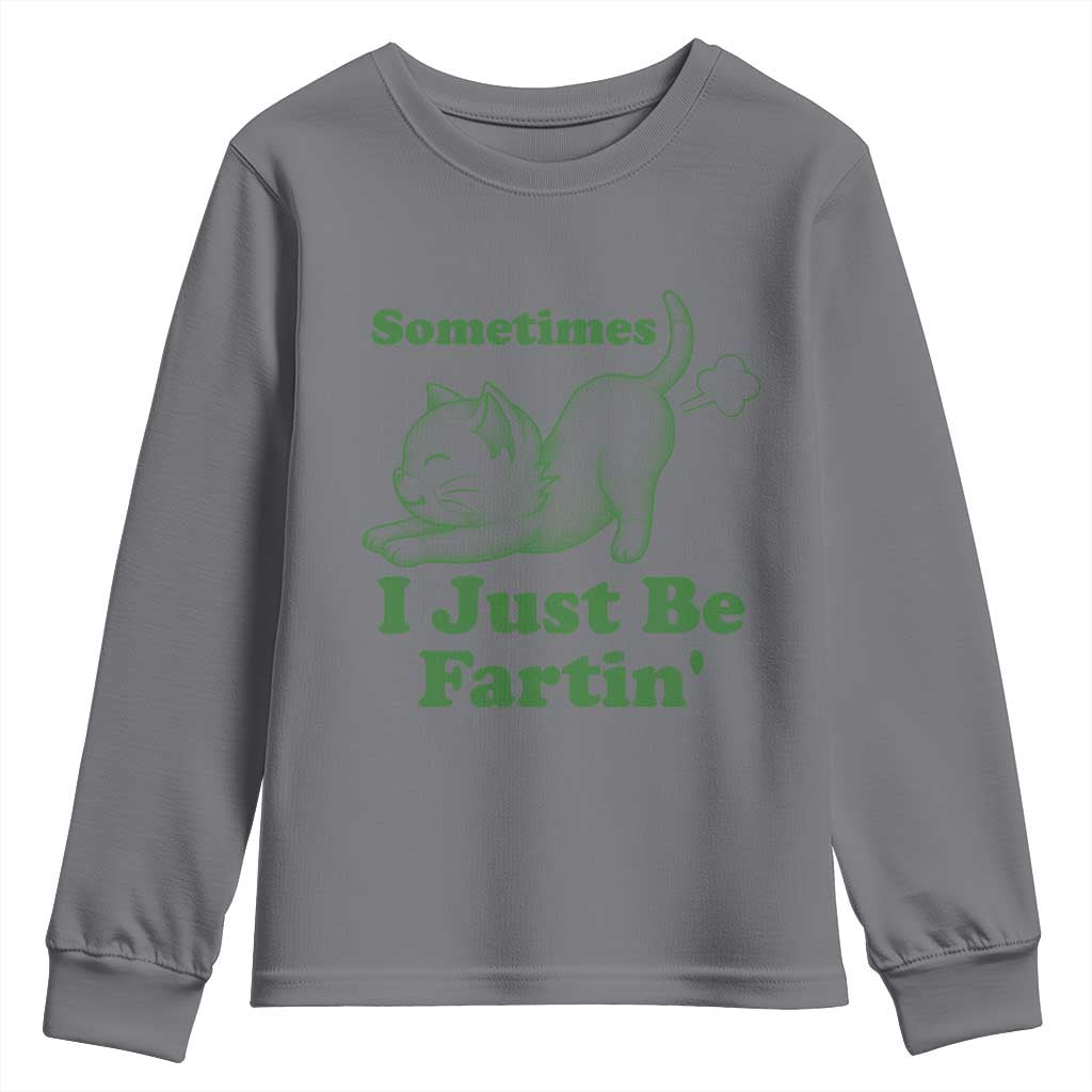 Funny Cat Sometimes I Just Be Fartin Youth Sweatshirt Pet Lover