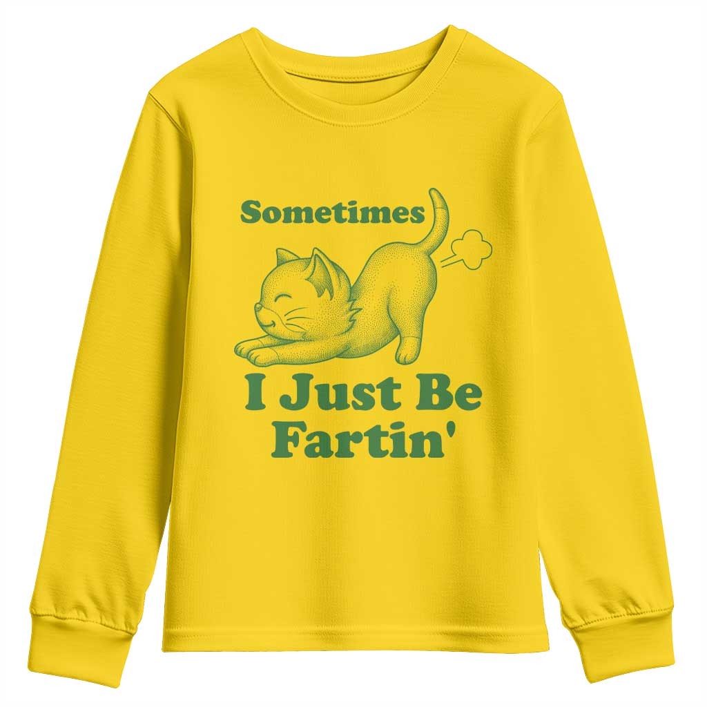 Funny Cat Sometimes I Just Be Fartin Youth Sweatshirt Pet Lover