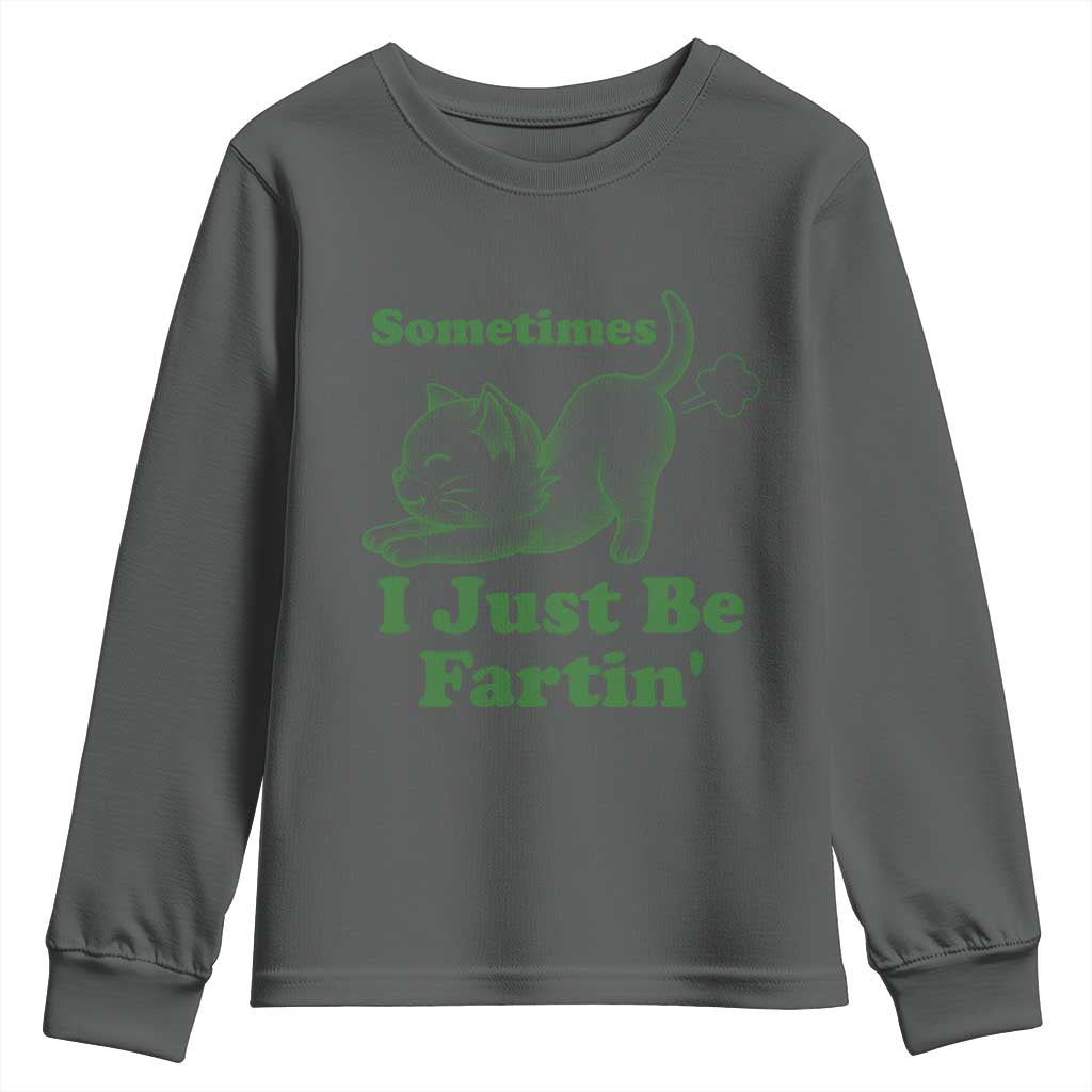 Funny Cat Sometimes I Just Be Fartin Youth Sweatshirt Pet Lover