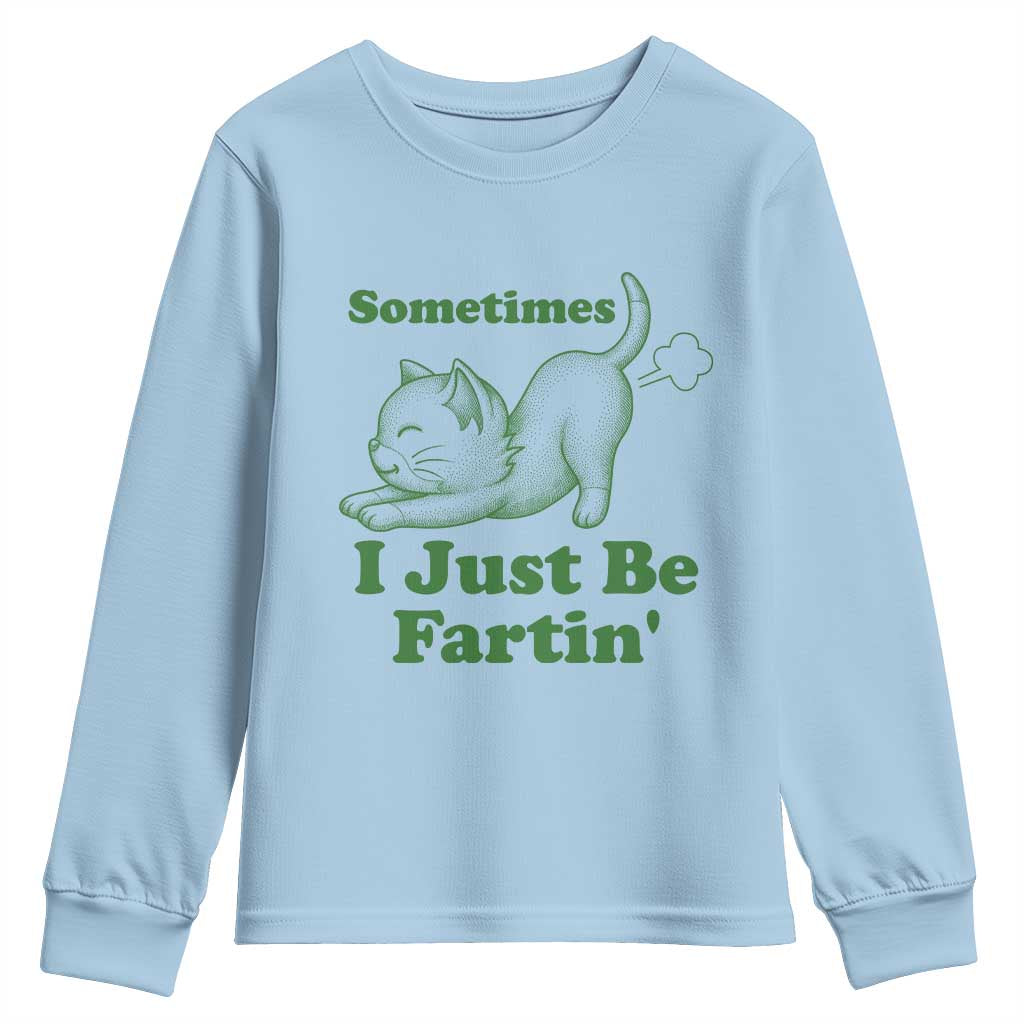 Funny Cat Sometimes I Just Be Fartin Youth Sweatshirt Pet Lover
