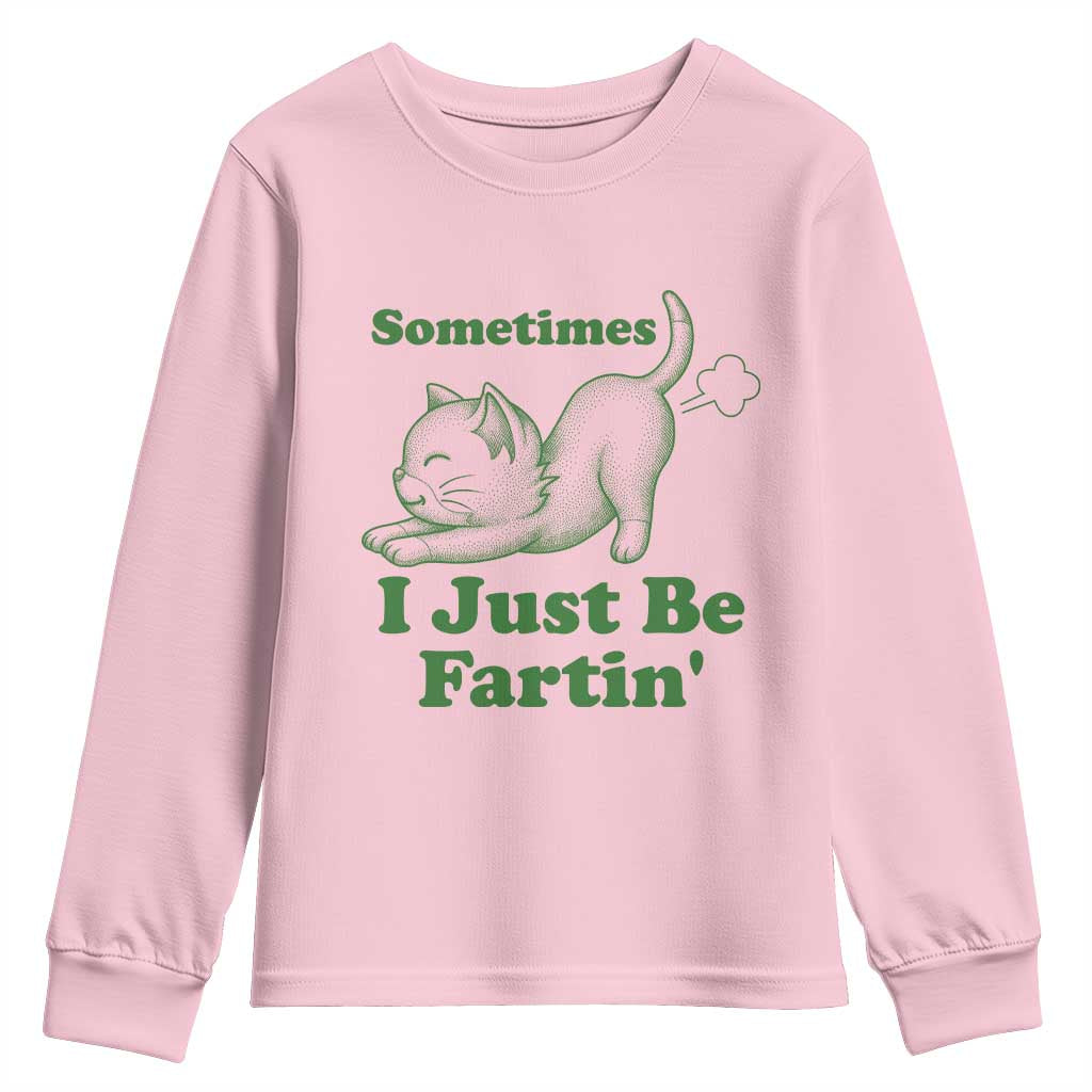 Funny Cat Sometimes I Just Be Fartin Youth Sweatshirt Pet Lover