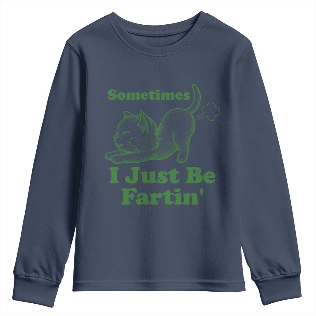 Funny Cat Sometimes I Just Be Fartin Youth Sweatshirt Pet Lover