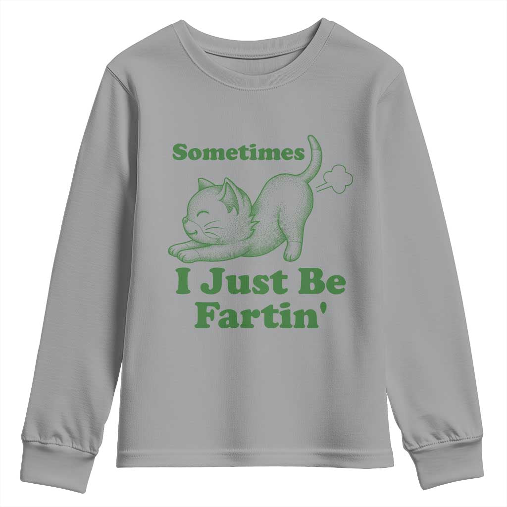 Funny Cat Sometimes I Just Be Fartin Youth Sweatshirt Pet Lover