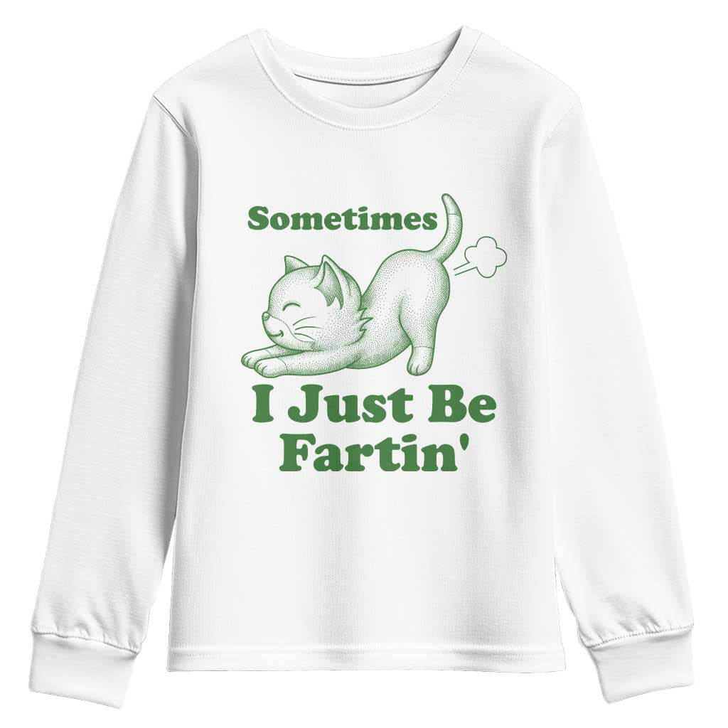 Funny Cat Sometimes I Just Be Fartin Youth Sweatshirt Pet Lover