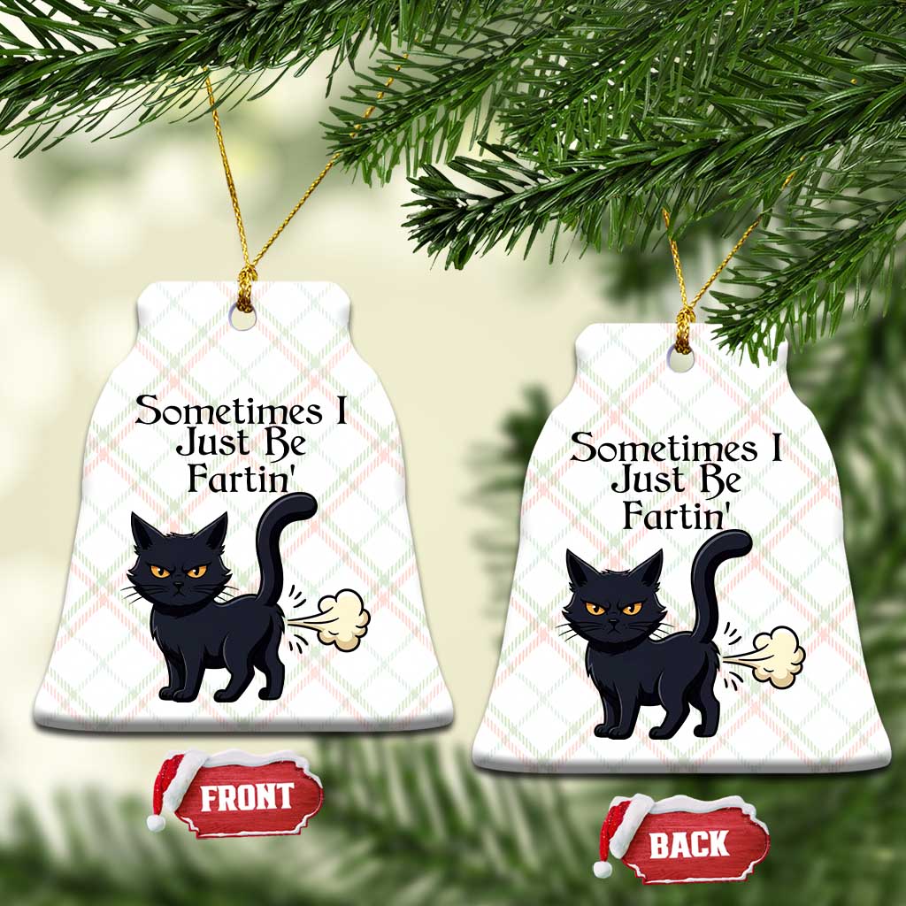Funny Black Cat Bathroom Humor Ceramic Ornament Sometimes I Just Be Fartin