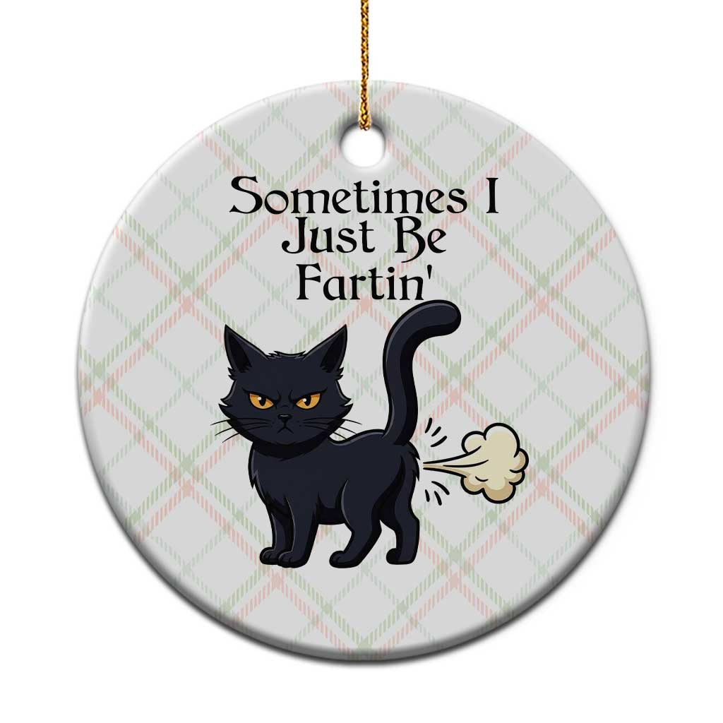 Funny Black Cat Bathroom Humor Ceramic Ornament Sometimes I Just Be Fartin