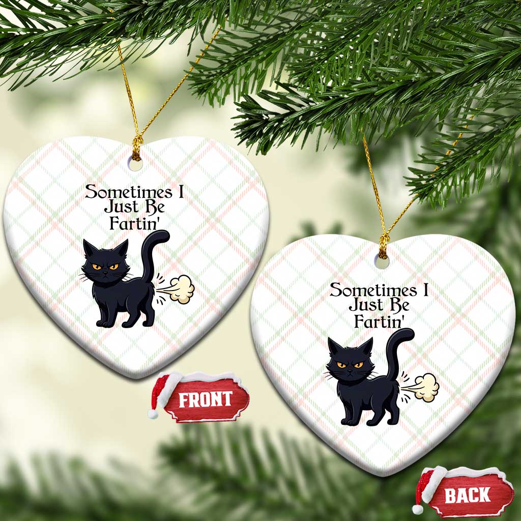 Funny Black Cat Bathroom Humor Ceramic Ornament Sometimes I Just Be Fartin
