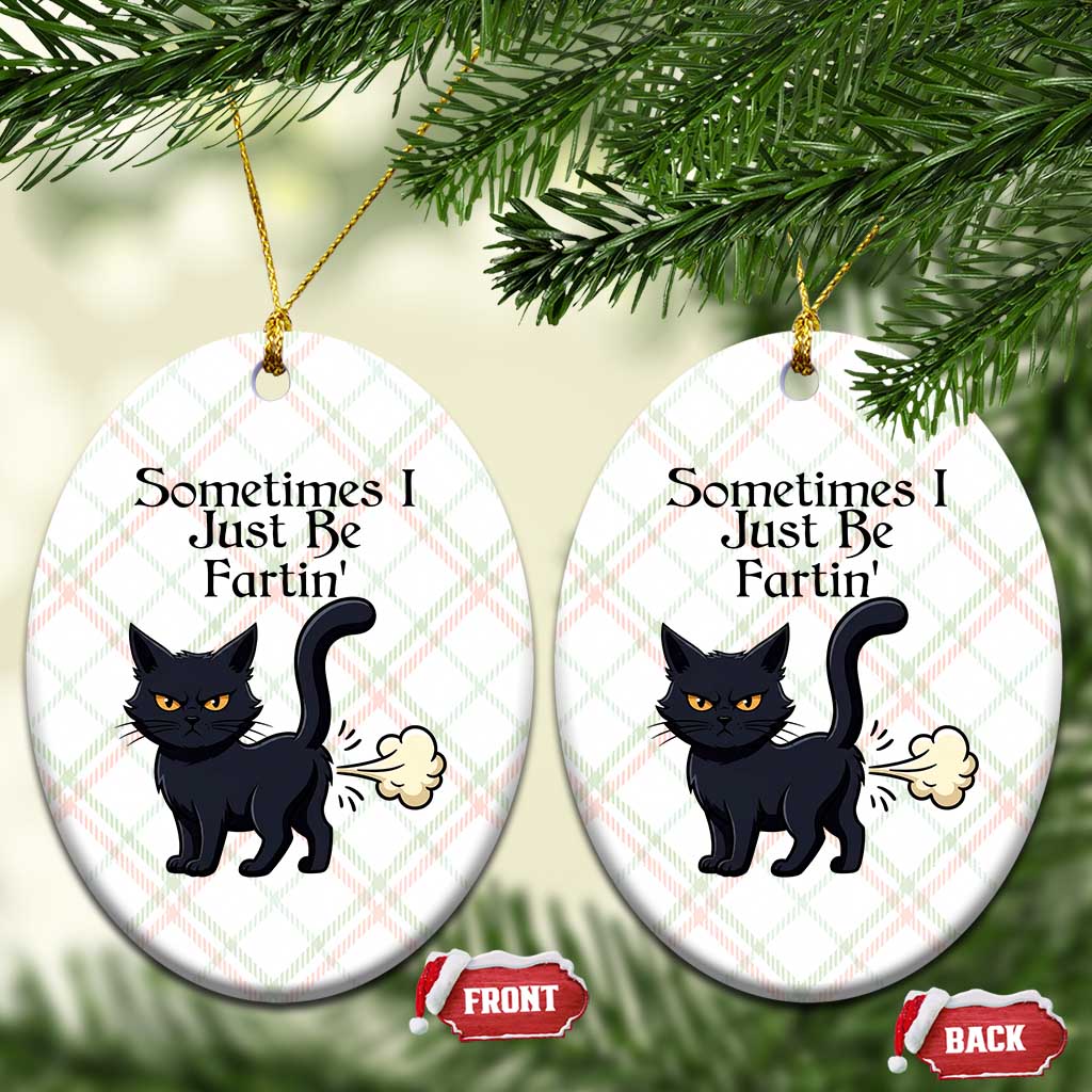 Funny Black Cat Bathroom Humor Ceramic Ornament Sometimes I Just Be Fartin