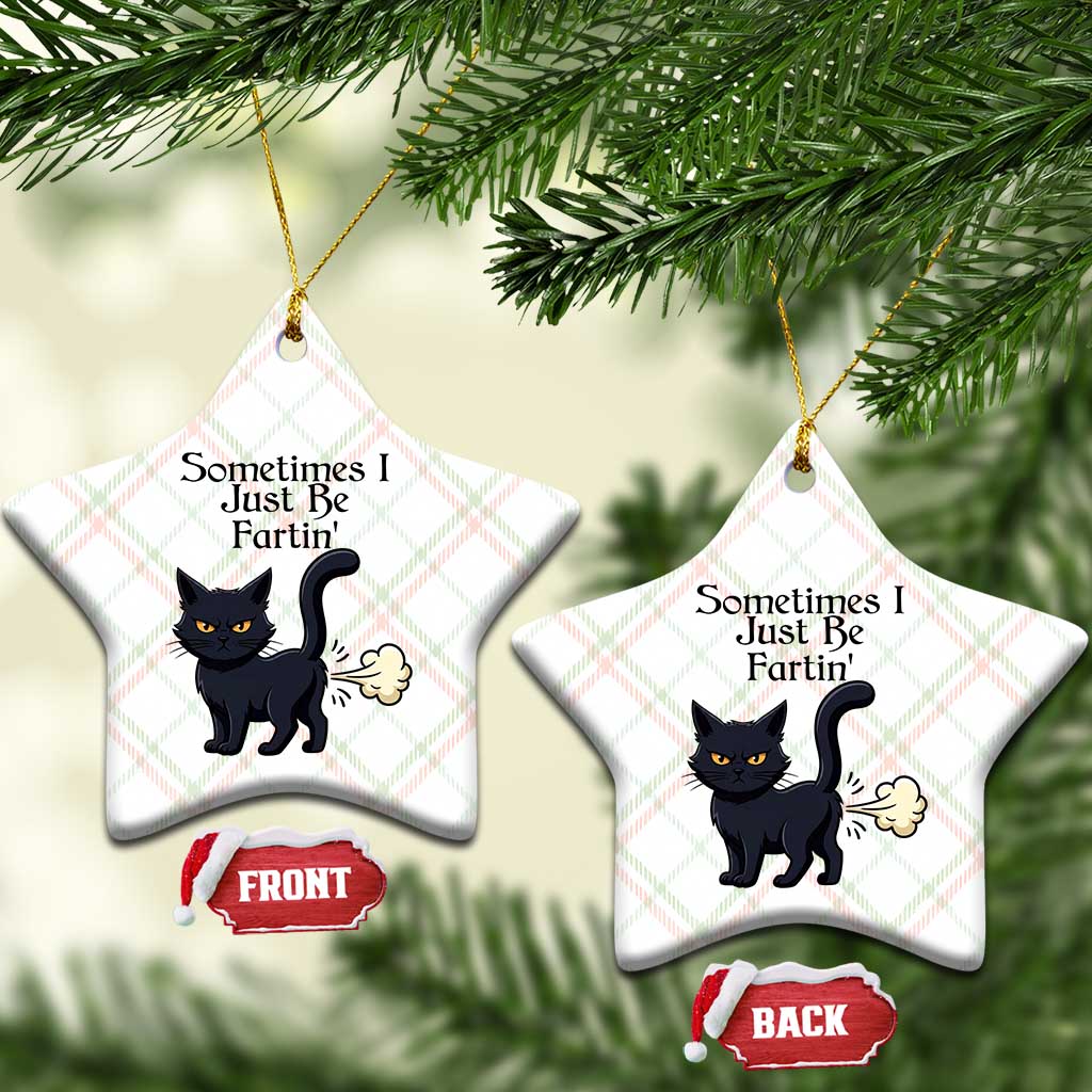Funny Black Cat Bathroom Humor Ceramic Ornament Sometimes I Just Be Fartin