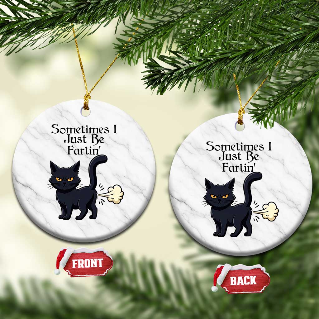 Funny Black Cat Bathroom Humor Ceramic Ornament Sometimes I Just Be Fartin