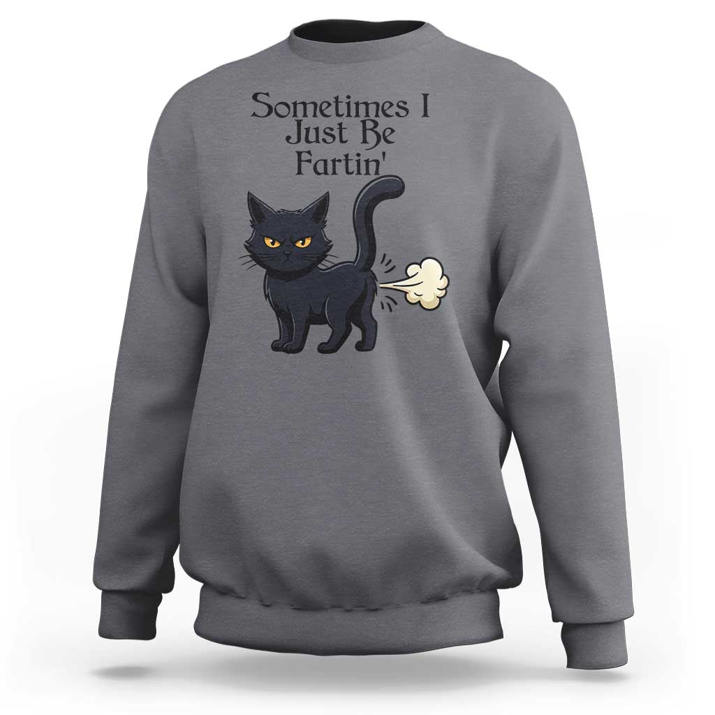Funny Black Cat Bathroom Humor Sweatshirt Sometimes I Just Be Fartin