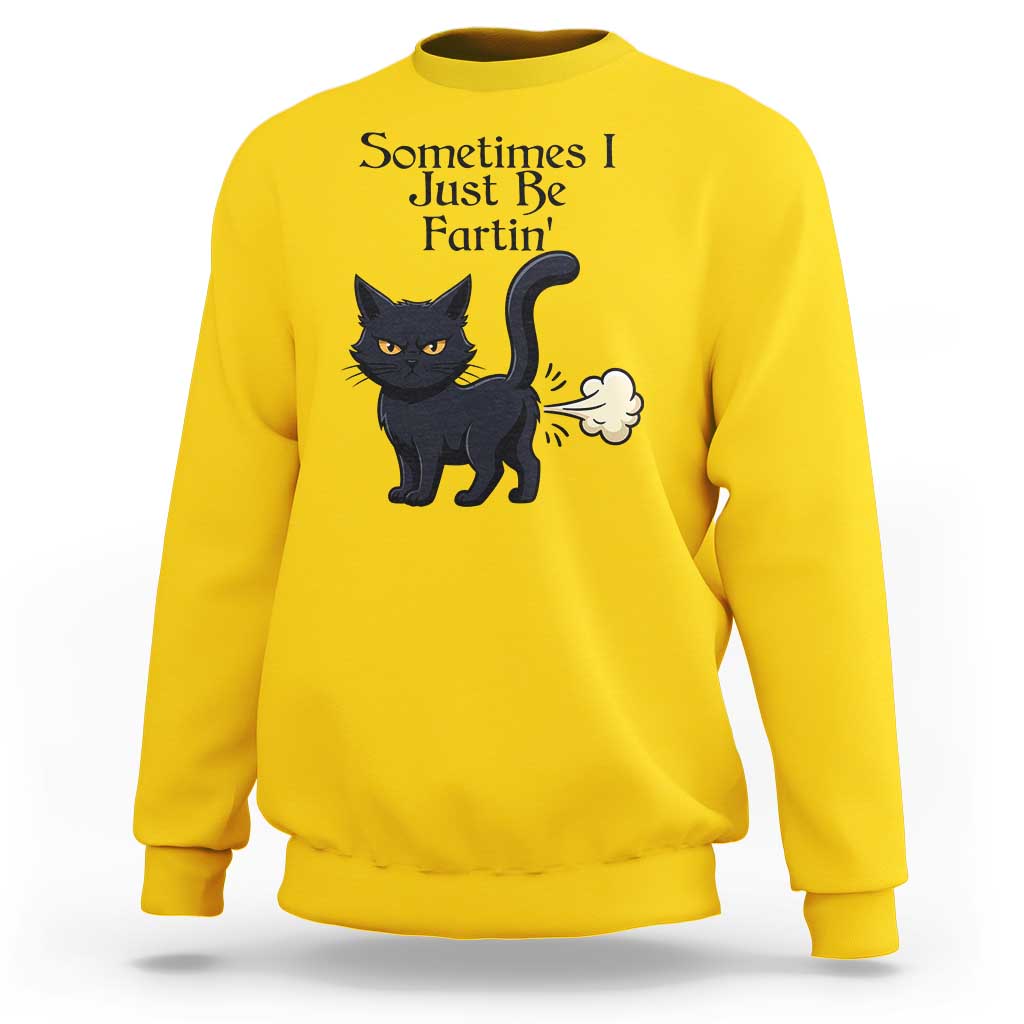 Funny Black Cat Bathroom Humor Sweatshirt Sometimes I Just Be Fartin