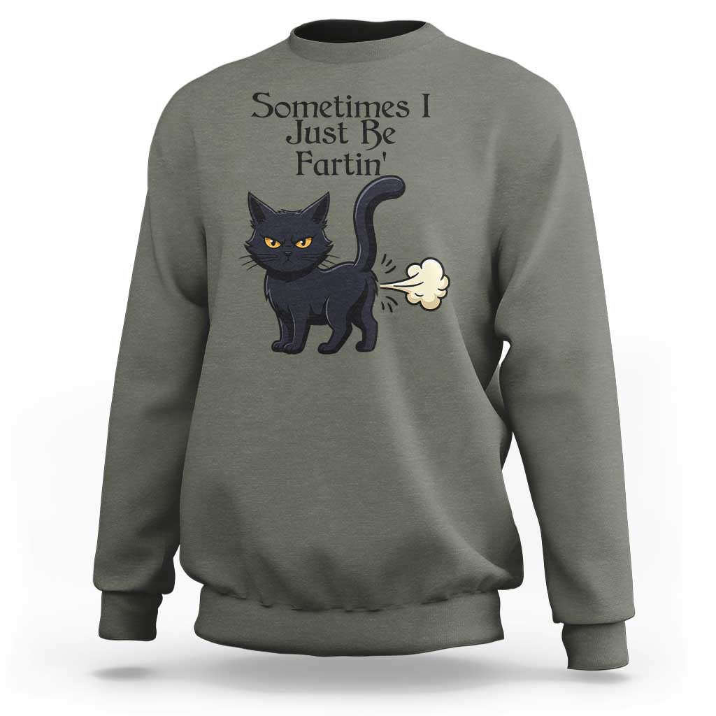 Funny Black Cat Bathroom Humor Sweatshirt Sometimes I Just Be Fartin
