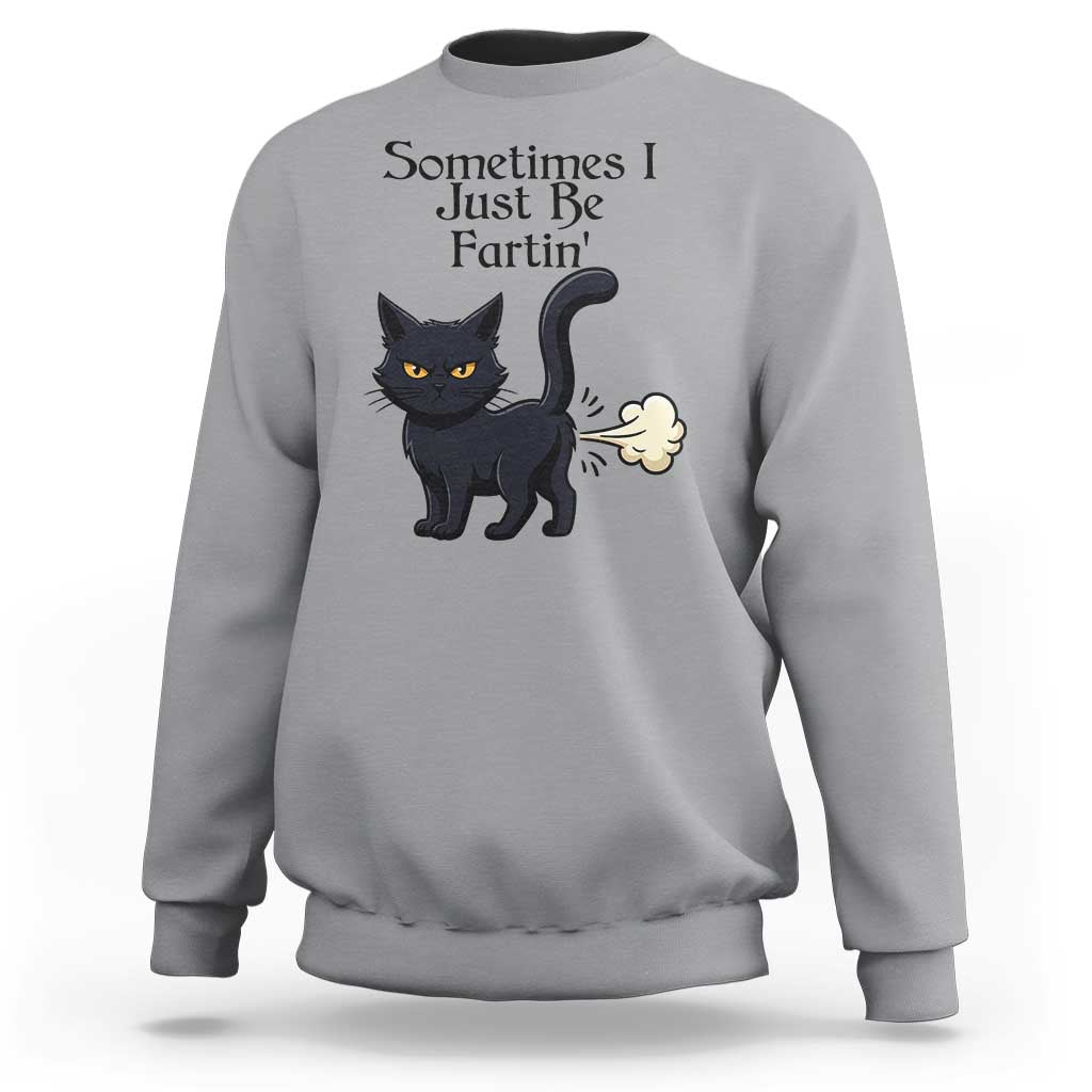 Funny Black Cat Bathroom Humor Sweatshirt Sometimes I Just Be Fartin