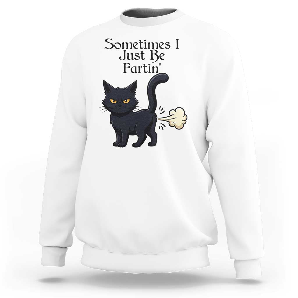Funny Black Cat Bathroom Humor Sweatshirt Sometimes I Just Be Fartin