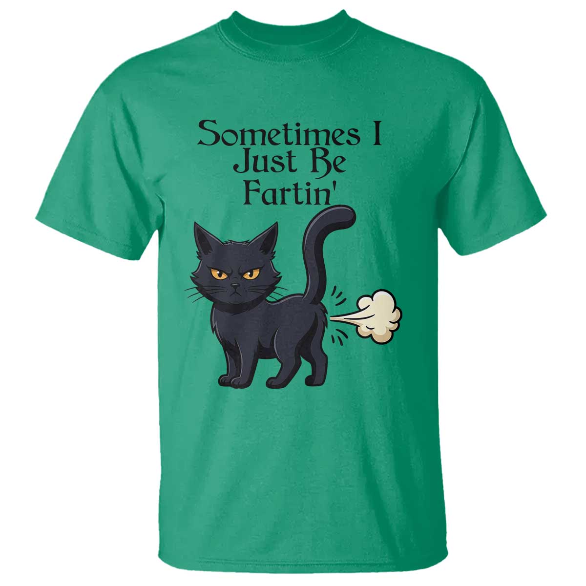 Funny Black Cat Bathroom Humor T Shirt Sometimes I Just Be Fartin