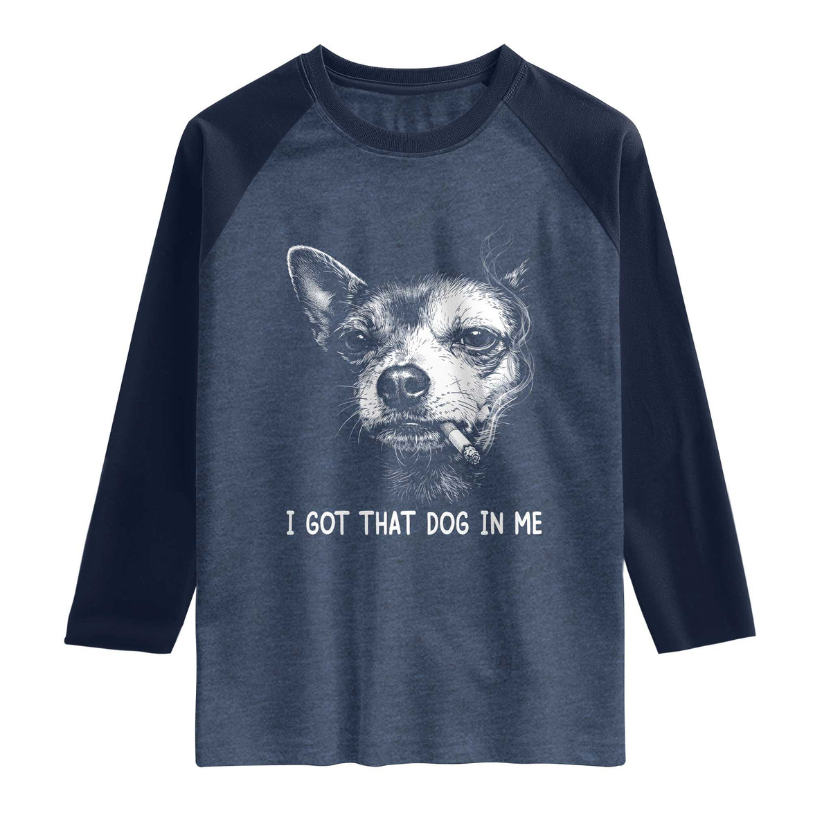 Funny Chihuahua Smoking Meme Raglan Shirt I Got That Dog In Me
