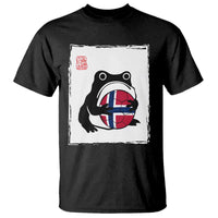Grumpy Frog Norway Soccer Fan T Shirt Japanese Style Match Day