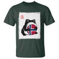 Grumpy Frog Norway Soccer Fan T Shirt Japanese Style Match Day