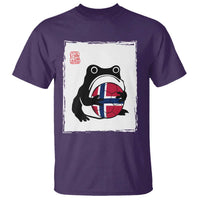 Grumpy Frog Norway Soccer Fan T Shirt Japanese Style Match Day