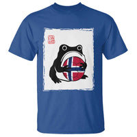 Grumpy Frog Norway Soccer Fan T Shirt Japanese Style Match Day