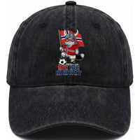 Ro Ro Norway Washed Cotton Baseball Cap Norwegian Pride Cat Lover Norway Flag Gift