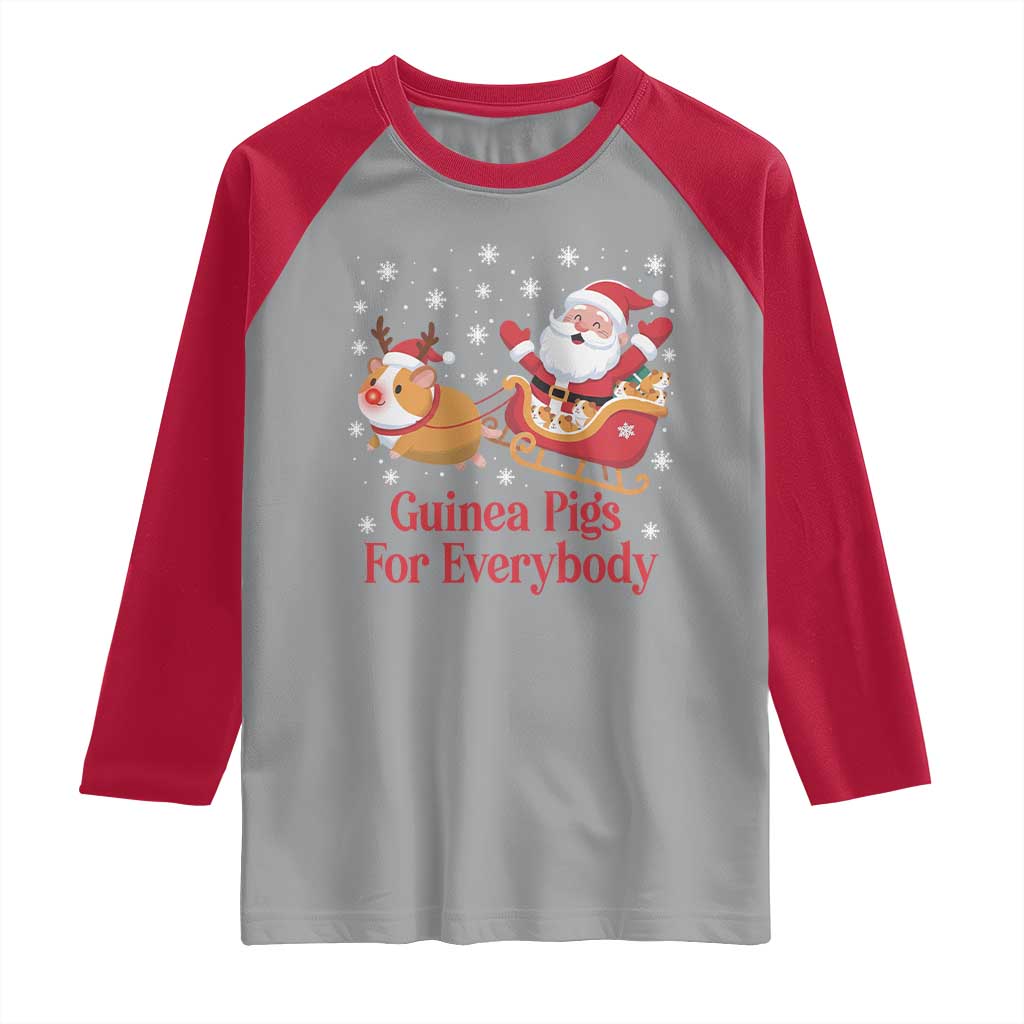 Guinea Pigs For Everybody Raglan Shirt Funny Xmas Gift - Wonder Print Shop