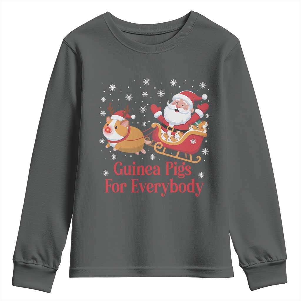 Guinea Pigs For Everybody Youth Sweatshirt Funny Xmas Gift - Wonder Print Shop