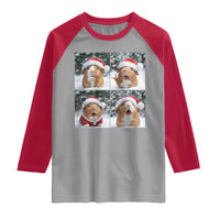 Funny Guinea Pig With Santa Hat Photobooth Raglan Shirt Christmas Gift - Wonder Print Shop