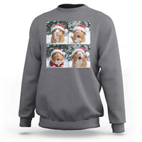 Funny Guinea Pig With Santa Hat Photobooth Sweatshirt Christmas Gift - Wonder Print Shop