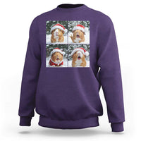 Funny Guinea Pig With Santa Hat Photobooth Sweatshirt Christmas Gift - Wonder Print Shop
