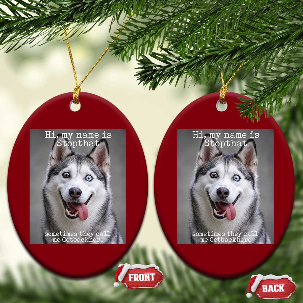 Funny Siberian Husky Meme Ceramic Ornament My Name Is Stop That