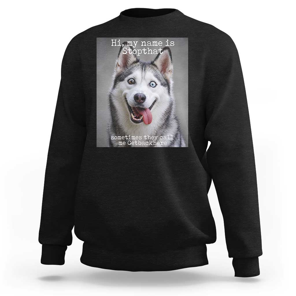 Funny Siberian Husky Meme Sweatshirt My Name Is Stop That