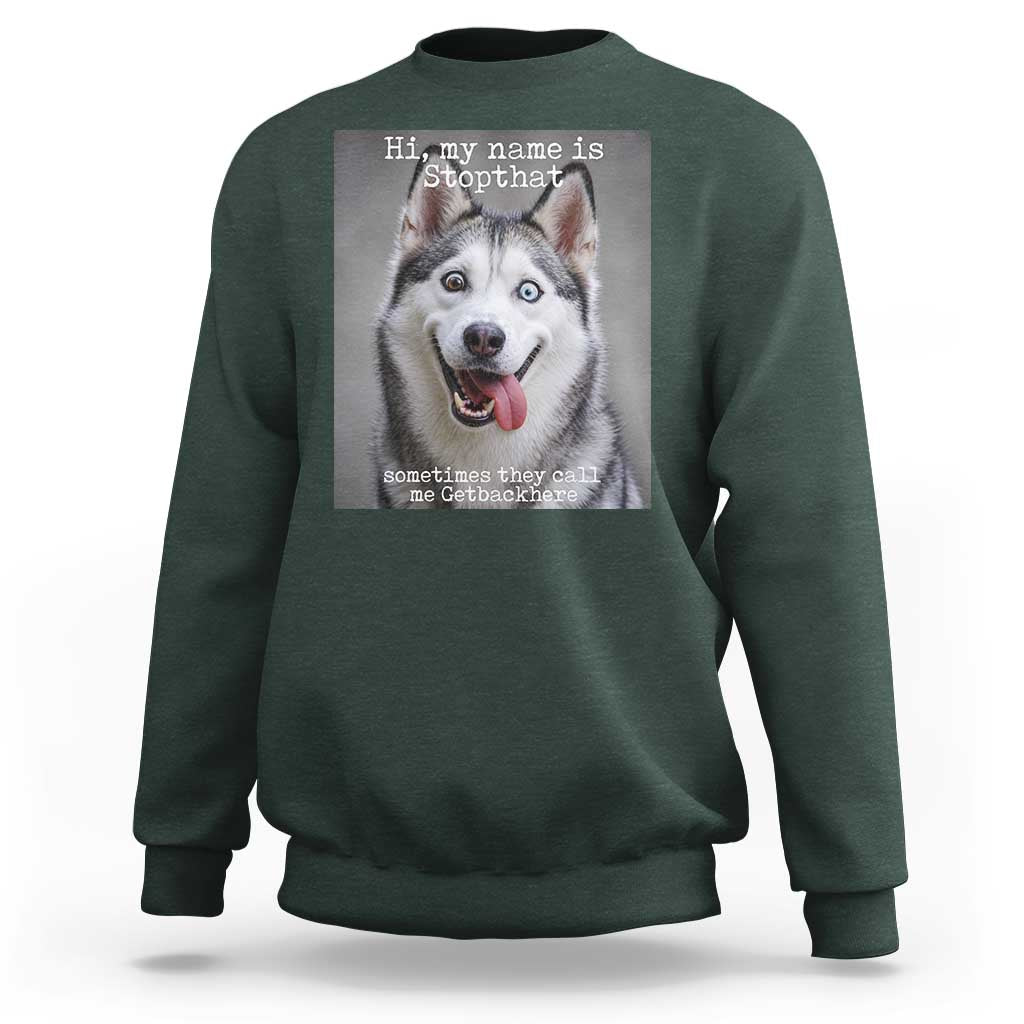 Funny Siberian Husky Meme Sweatshirt My Name Is Stop That