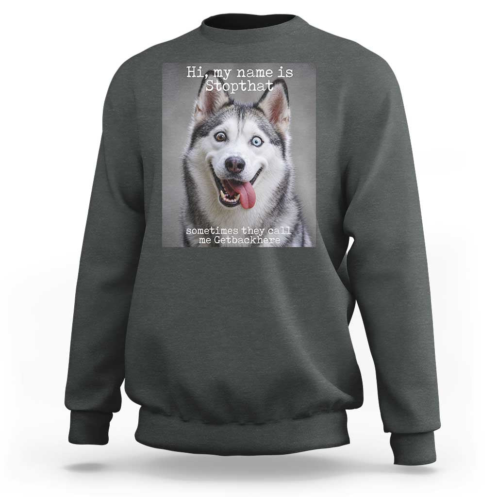 Funny Siberian Husky Meme Sweatshirt My Name Is Stop That