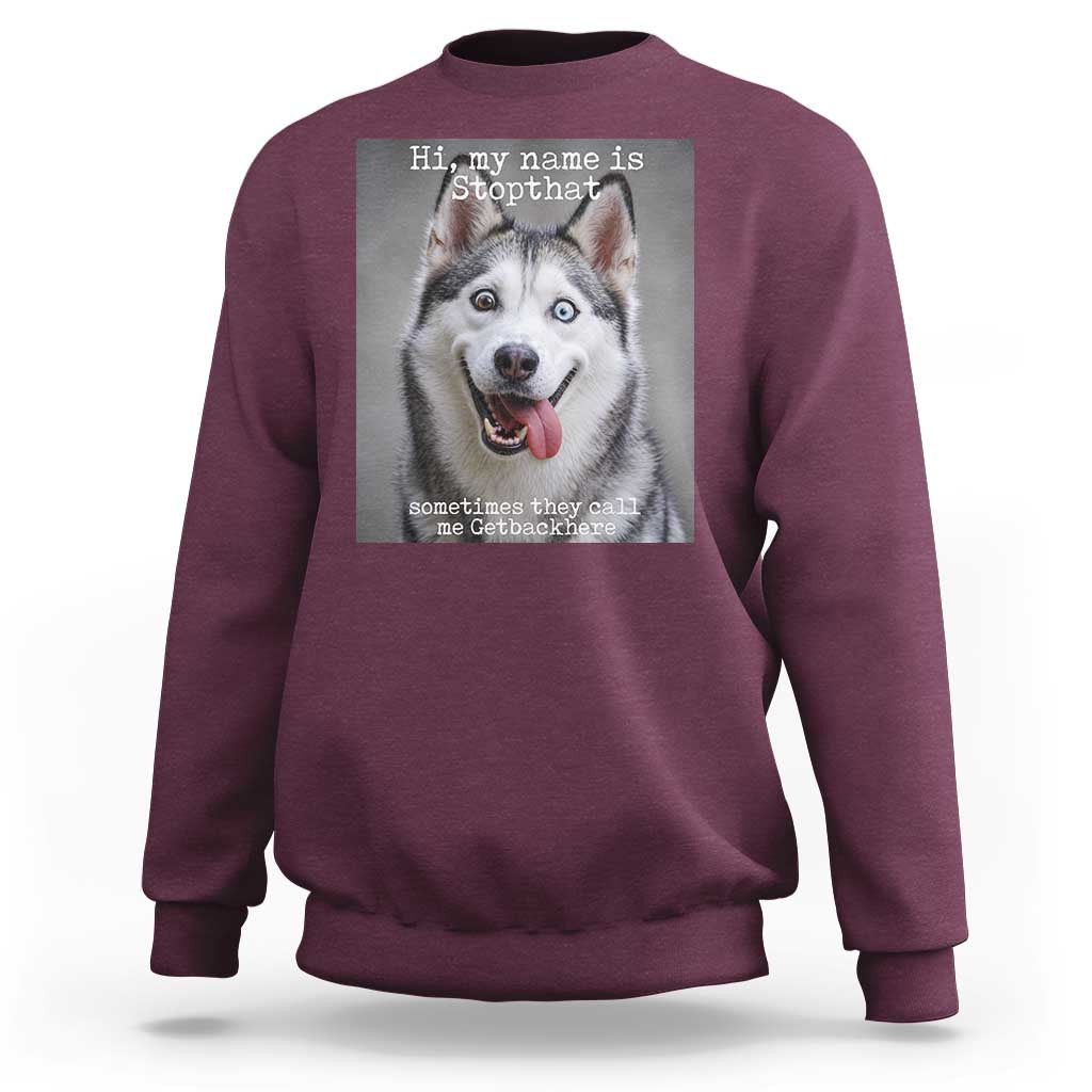 Funny Siberian Husky Meme Sweatshirt My Name Is Stop That