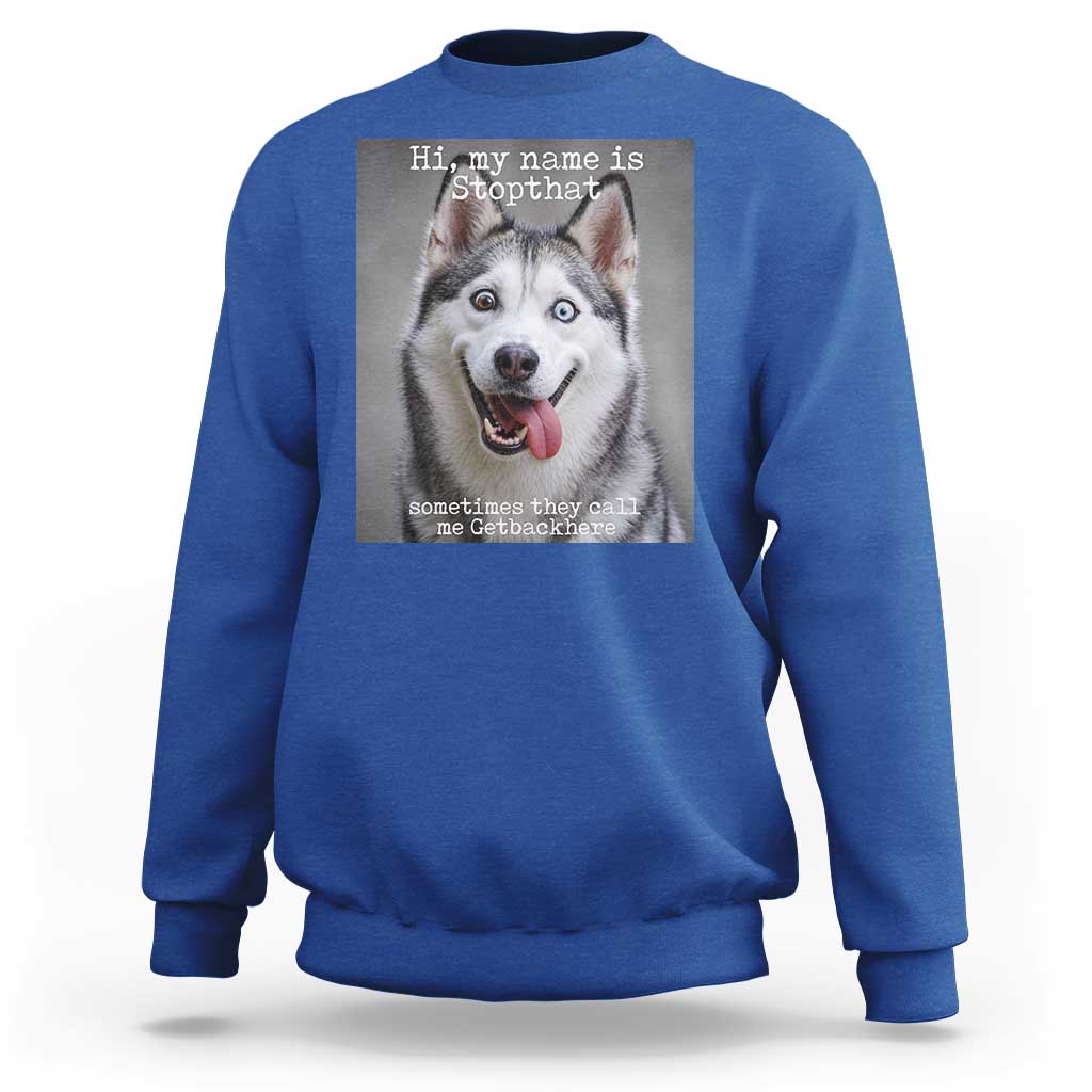 Funny Siberian Husky Meme Sweatshirt My Name Is Stop That