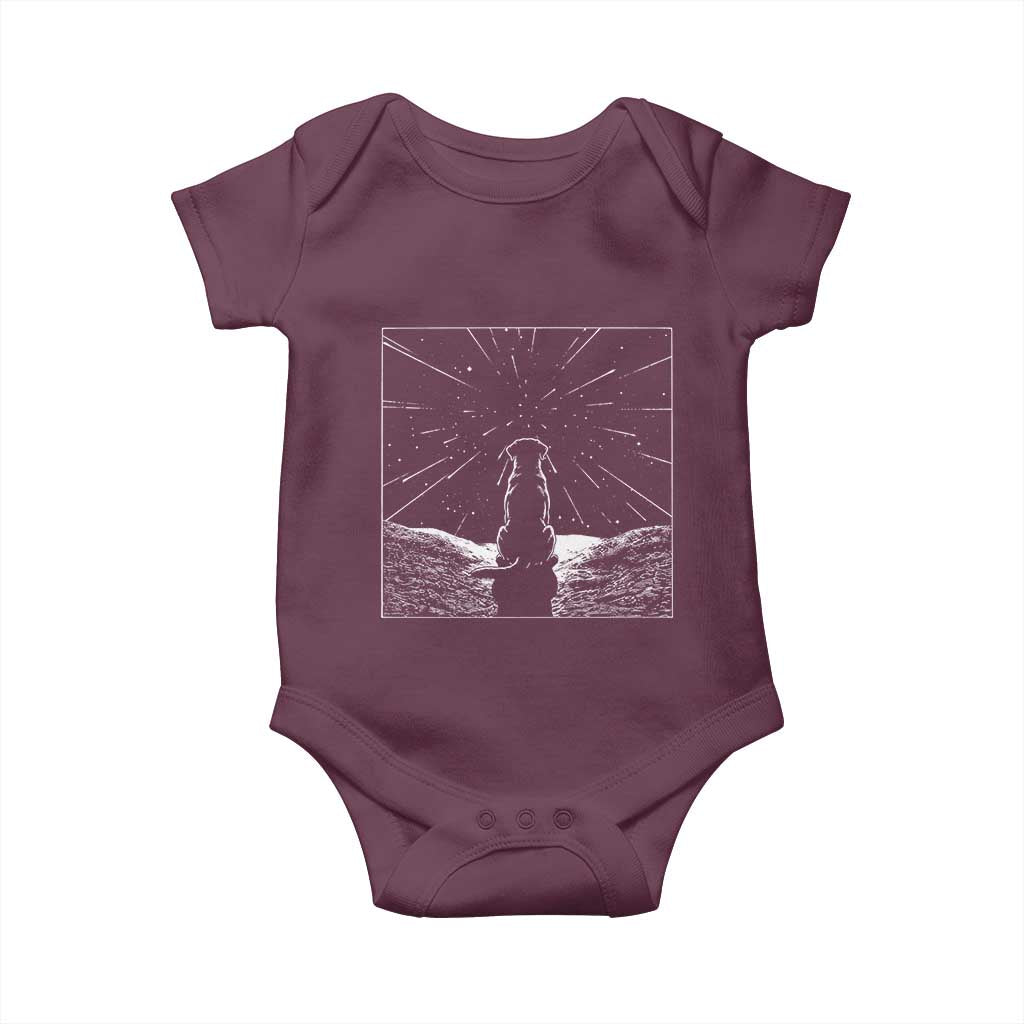 Meteor Shower Science Gift Baby Onesie Dog Watching Stars