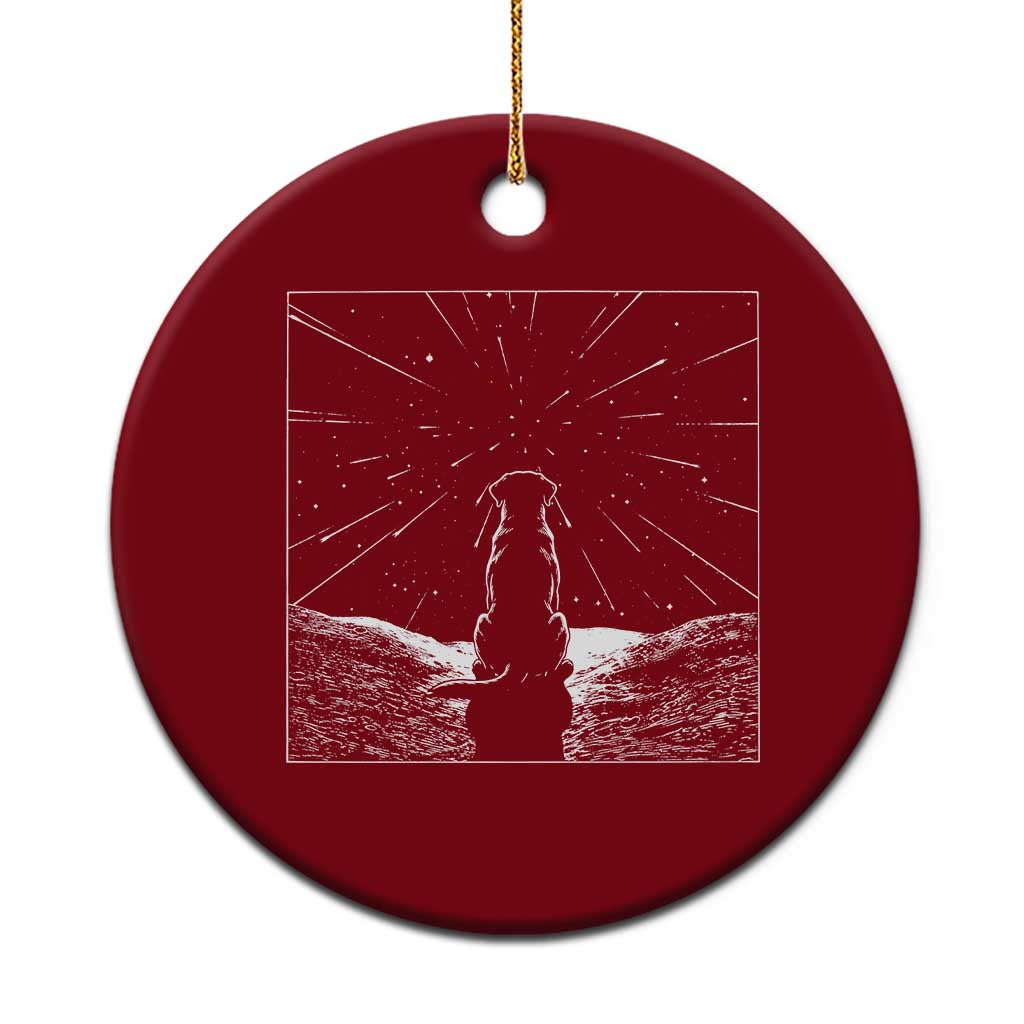 Meteor Shower Science Gift Ceramic Ornament Dog Watching Stars