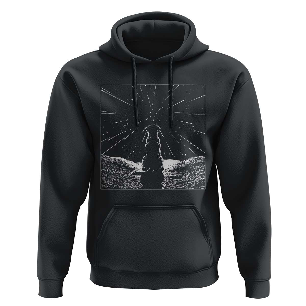 Meteor Shower Science Gift Hoodie Dog Watching Stars