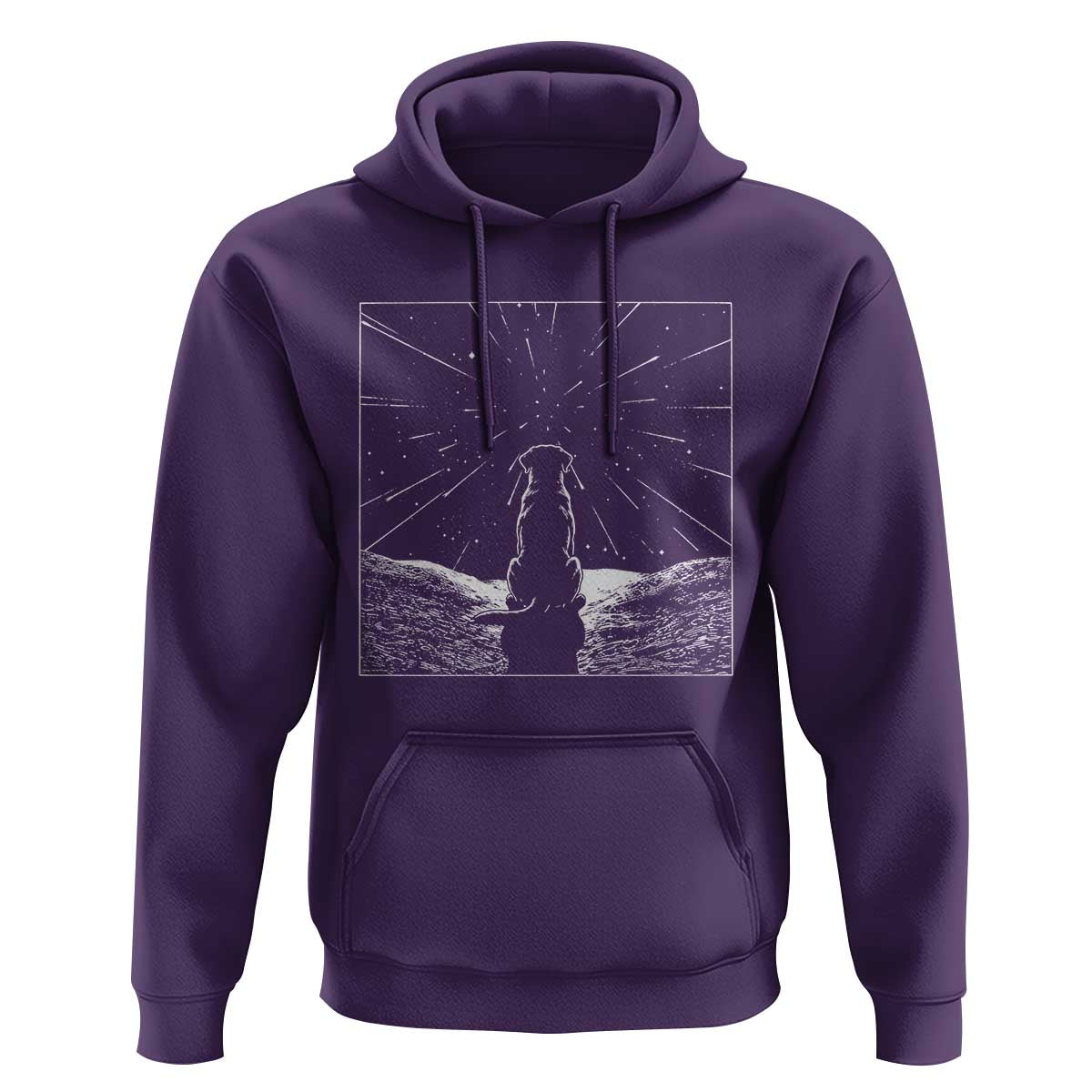 Meteor Shower Science Gift Hoodie Dog Watching Stars