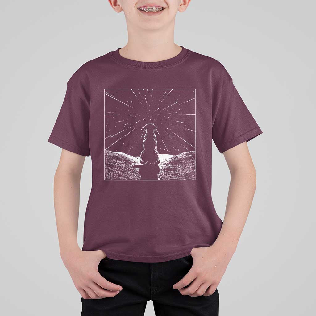 Meteor Shower Science Gift T Shirt For Kid Dog Watching Stars