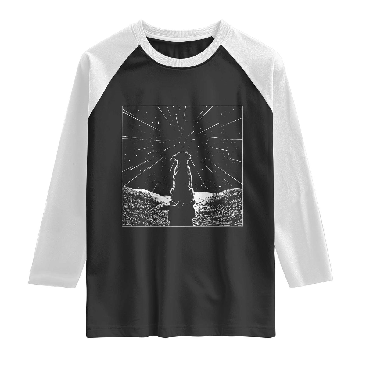 Meteor Shower Science Gift Raglan Shirt Dog Watching Stars