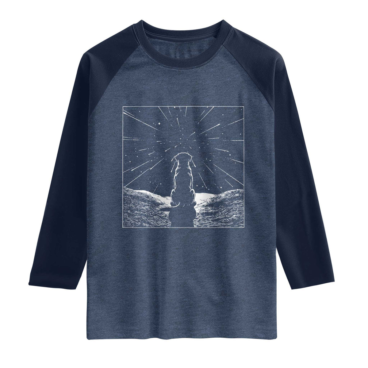 Meteor Shower Science Gift Raglan Shirt Dog Watching Stars