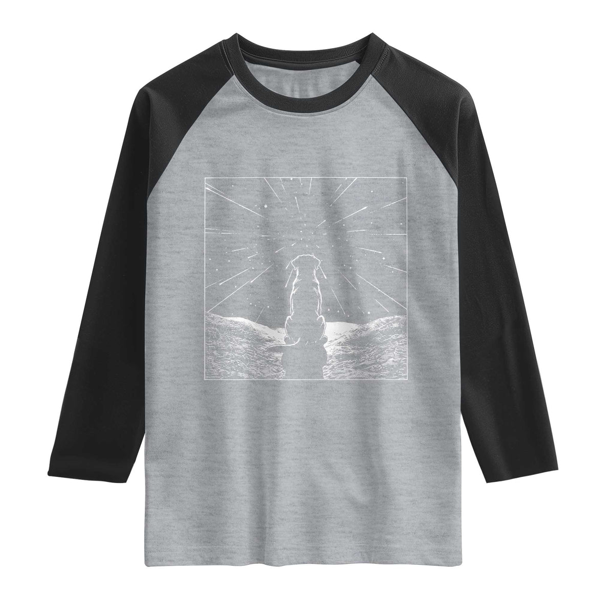 Meteor Shower Science Gift Raglan Shirt Dog Watching Stars