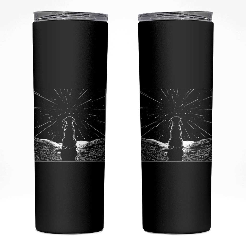 Meteor Shower Science Gift Skinny Tumbler Dog Watching Stars