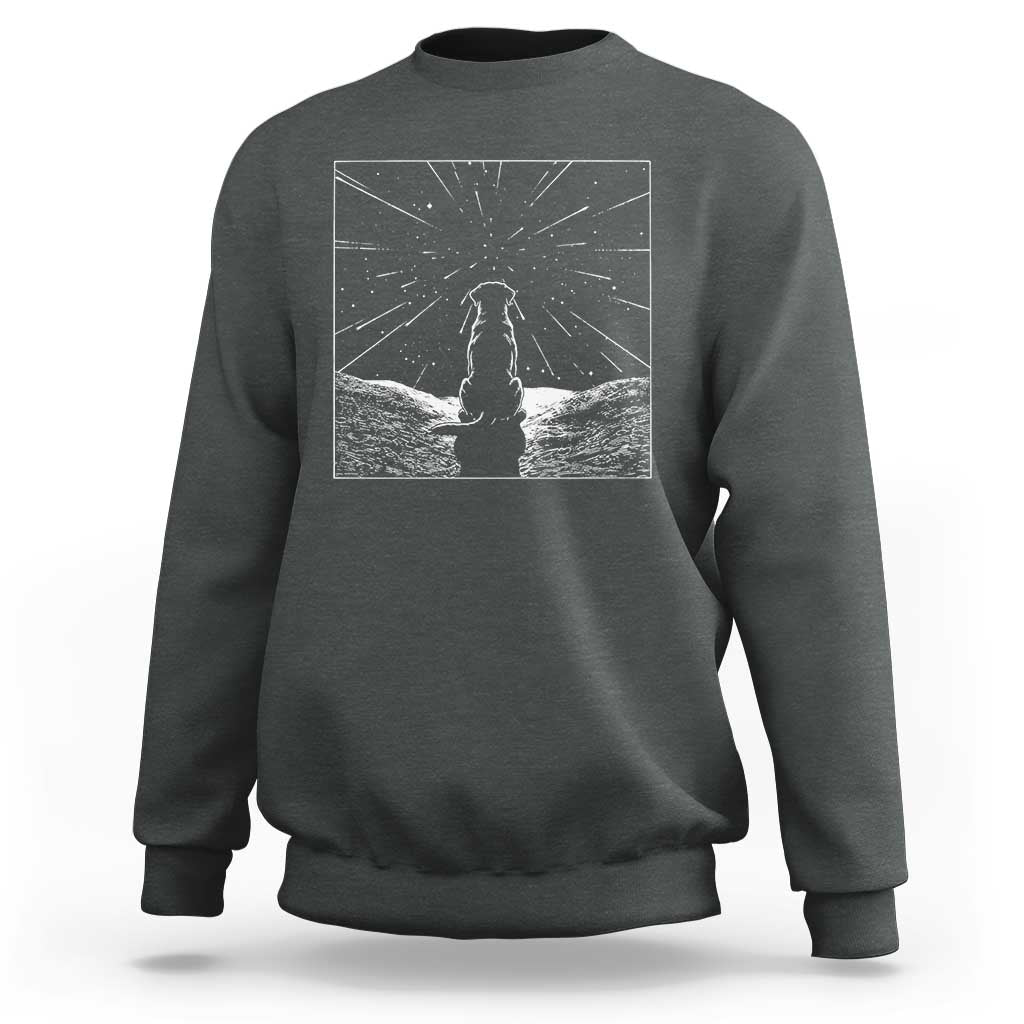 Meteor Shower Science Gift Sweatshirt Dog Watching Stars