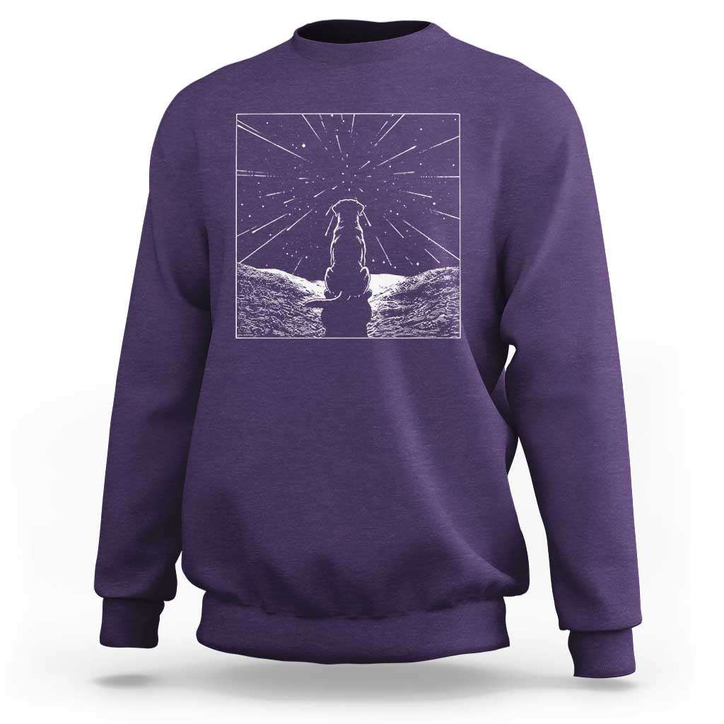 Meteor Shower Science Gift Sweatshirt Dog Watching Stars