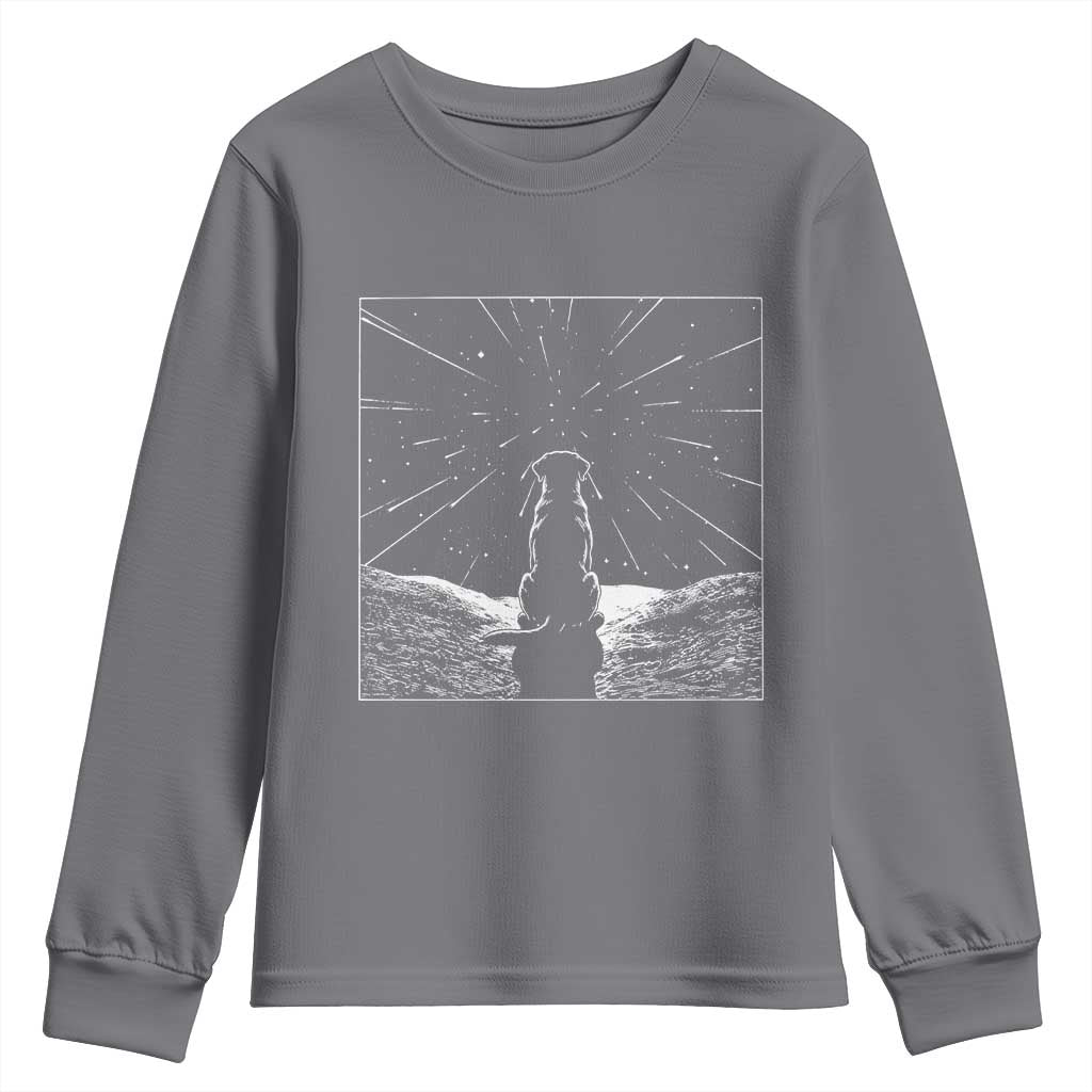 Meteor Shower Science Gift Youth Sweatshirt Dog Watching Stars