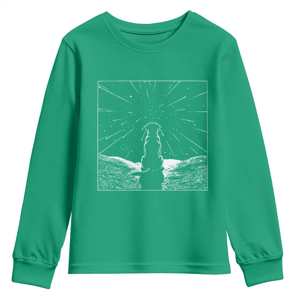 Meteor Shower Science Gift Youth Sweatshirt Dog Watching Stars